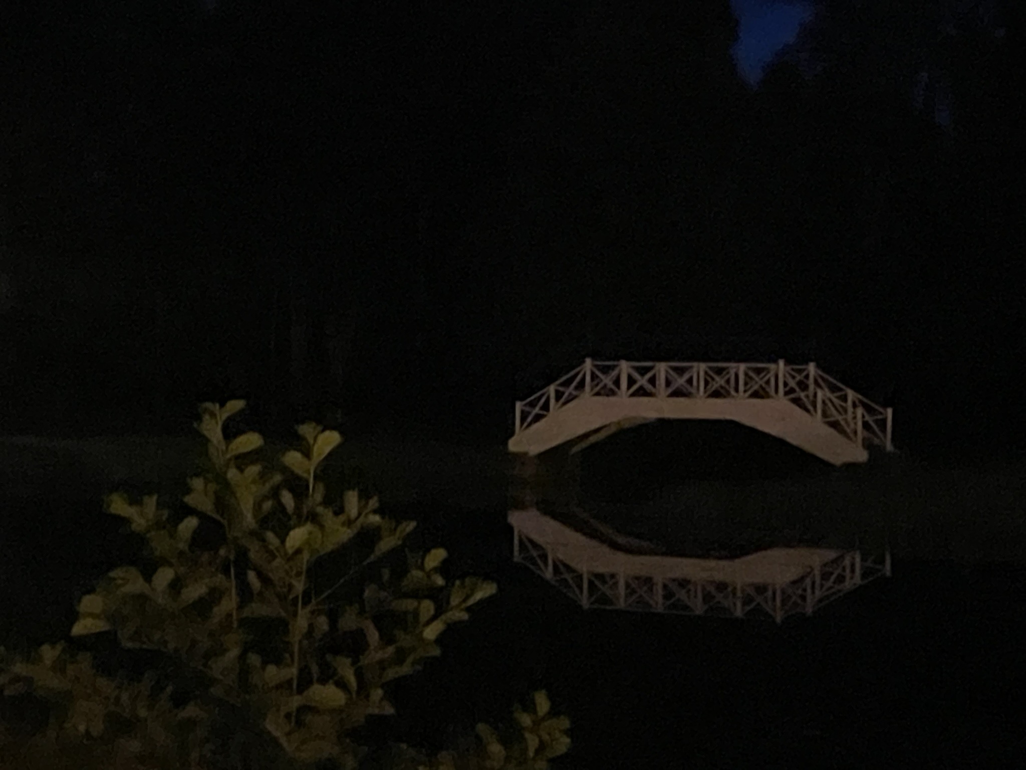 Evenings